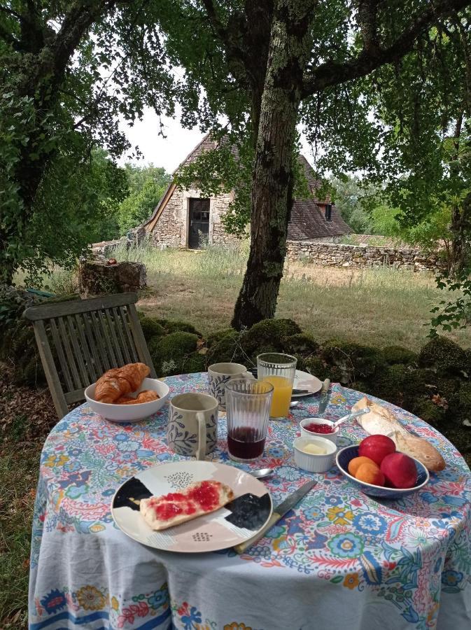 Gîte d'Espinières Orniac Extérieur photo